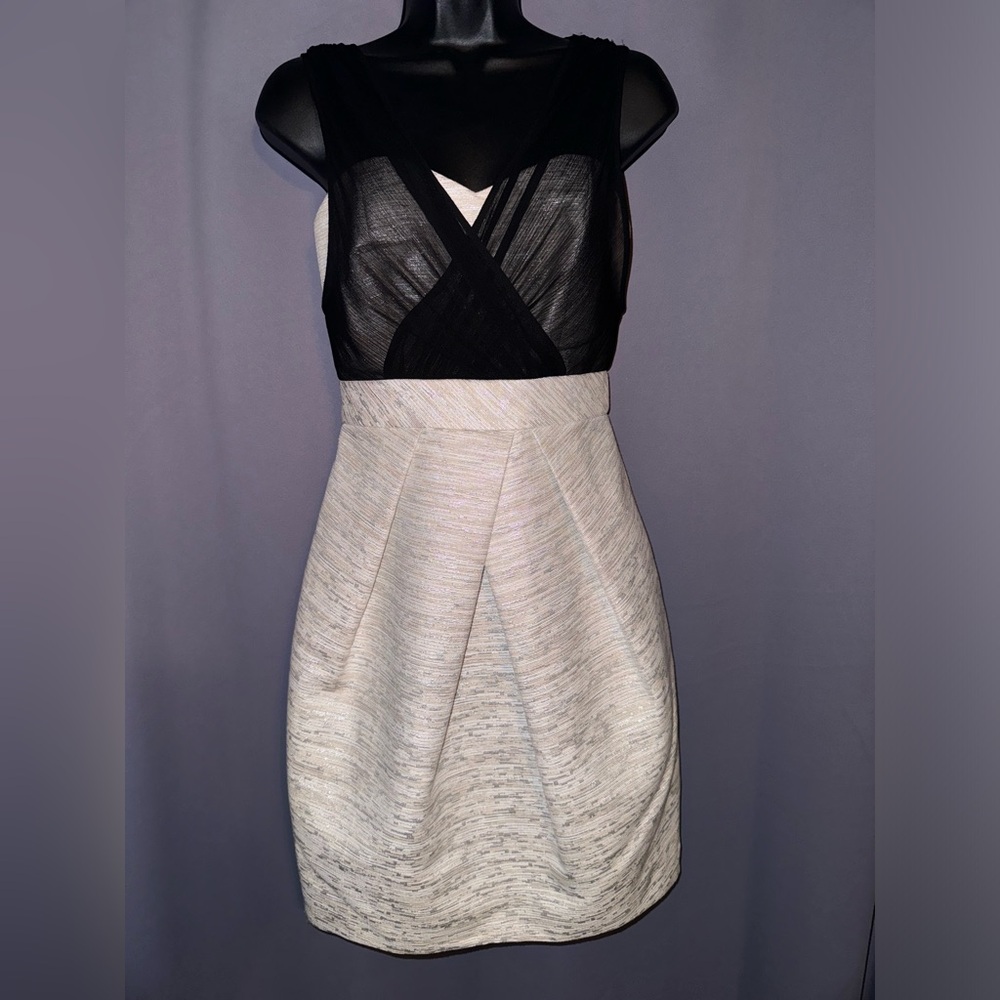 Formal cocktail dress size 2  maxandcleo brand